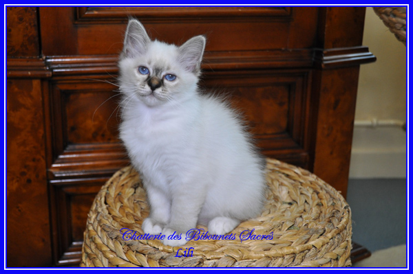 08052015LILI