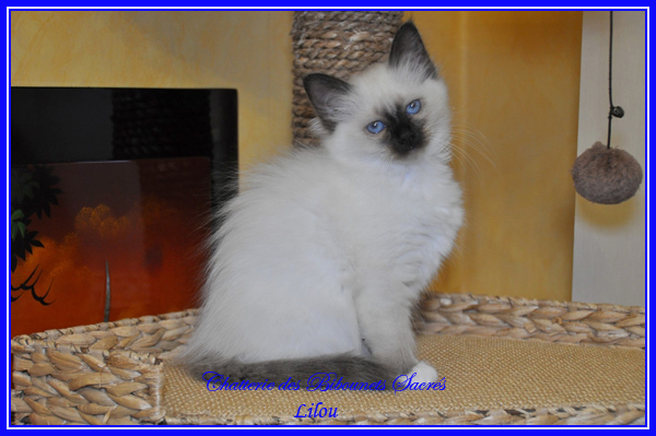 08052015LILOU