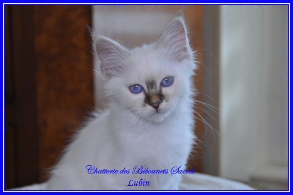08052015LUBIN2