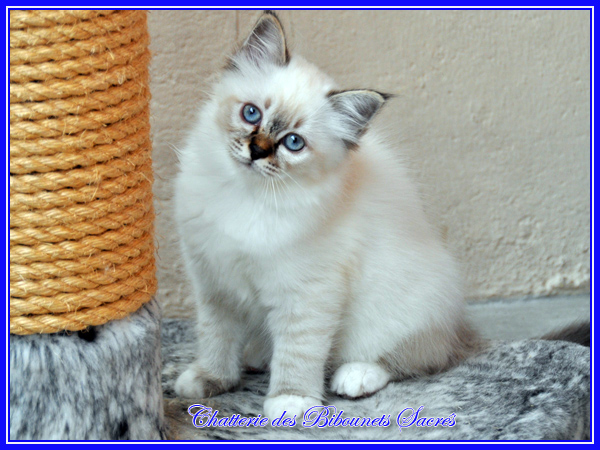 14122014johanna
