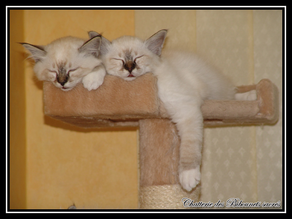 Enzo et Endy