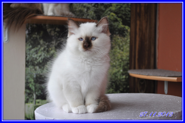 Hugo2012