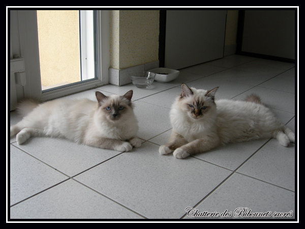 Eva et Endy