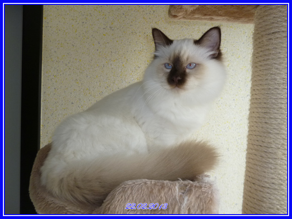 Hugo22022013