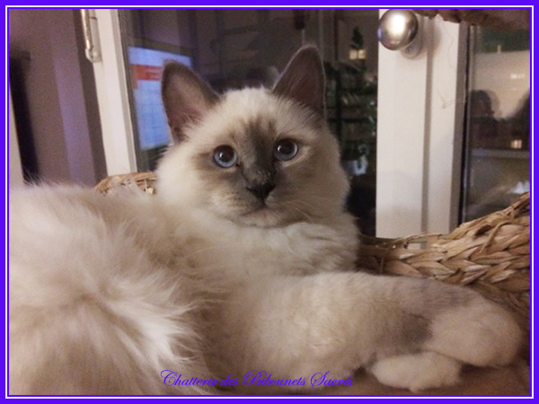 01022021rubens