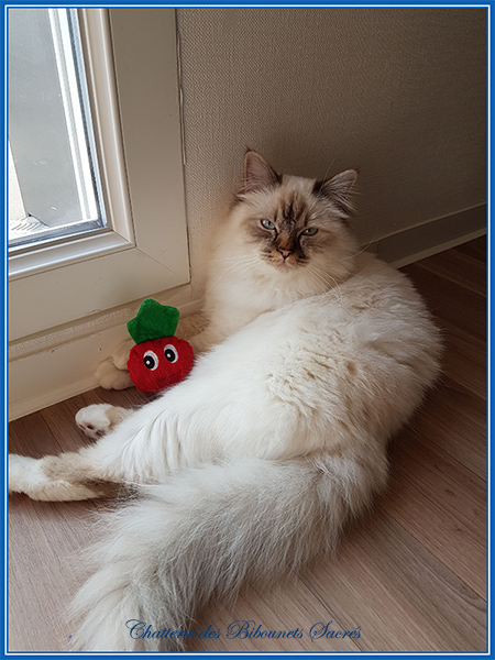01042019odin