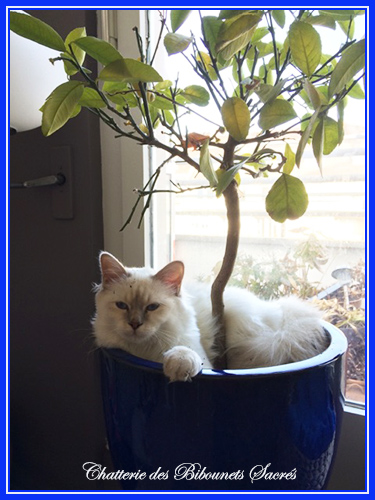 01042021ramses