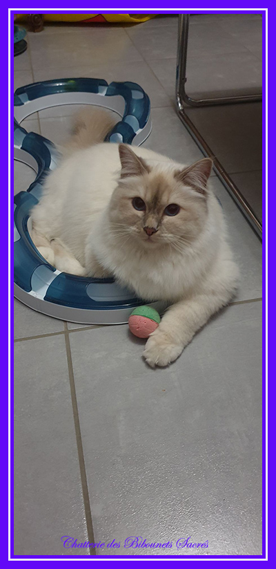 03092023talia
