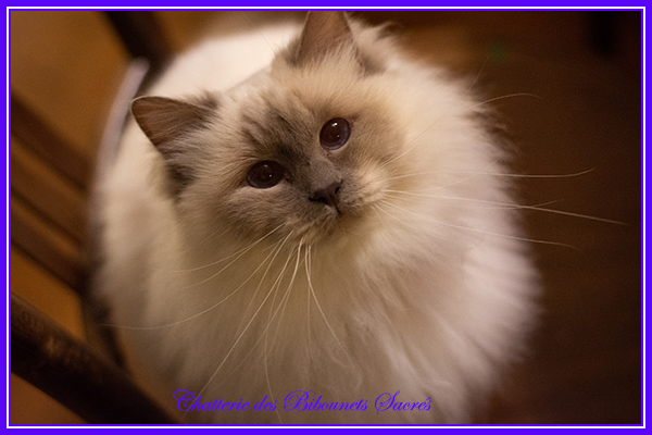 04012021heidi1