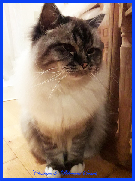 04012022rudolf