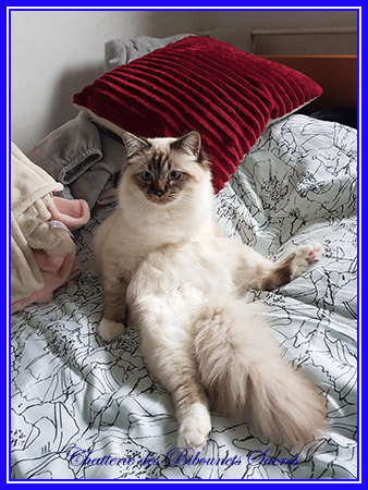 05032020pascha