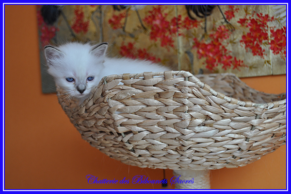 05052019pascha