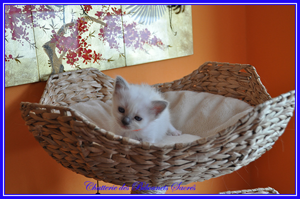 05052019pouhnie