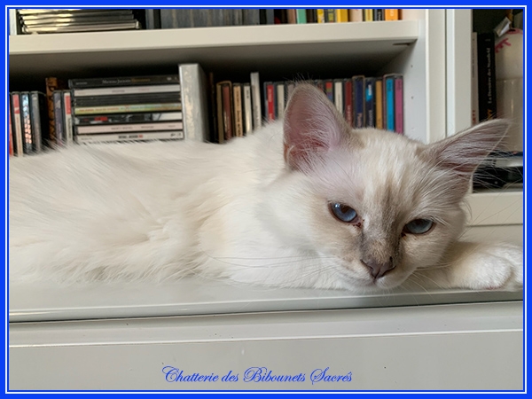 06072022talisman