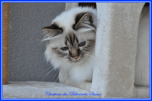 07082021ilona1
