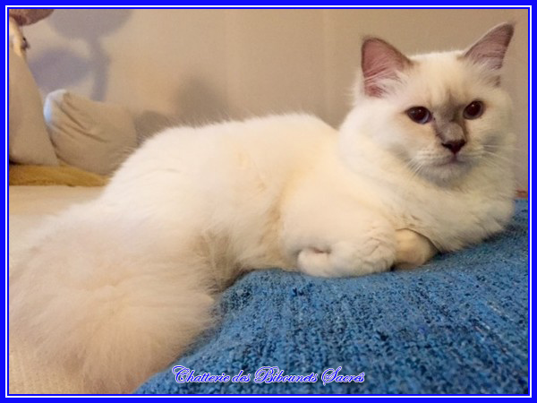 07092016merlin