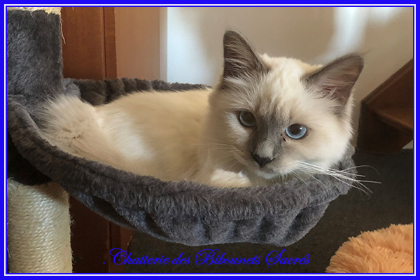 07092019poohnie