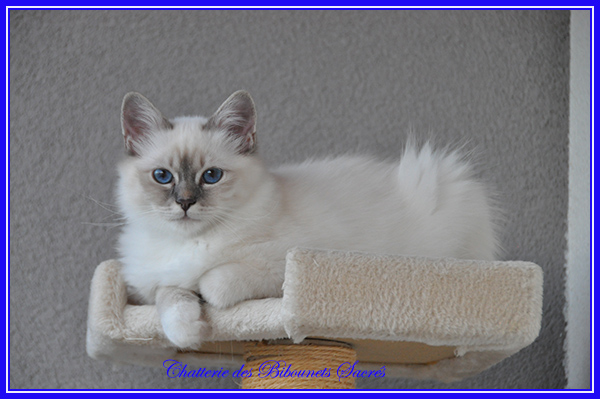 08082020ragnar