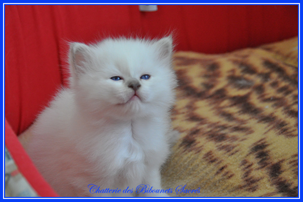 09012022sakia2