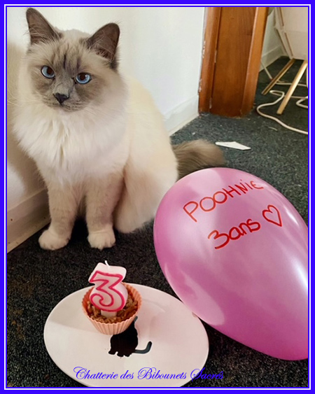 09042022poohnie