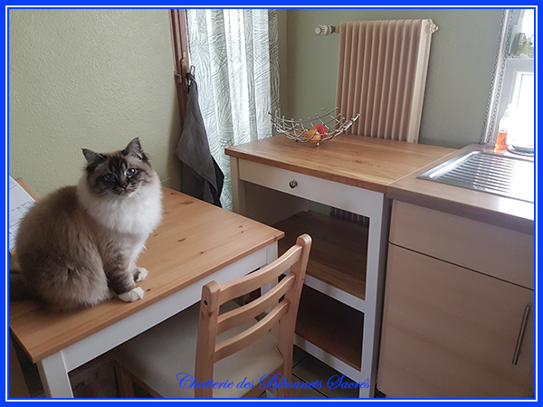 09062021romeo3