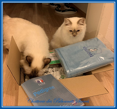 21.11.2018odonetlindt