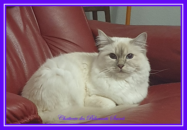 10032023talia