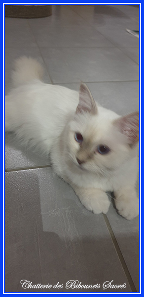 11072022talia