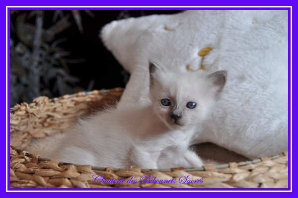 21052023ulysse2