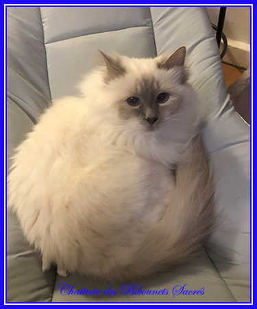 23032020heidi