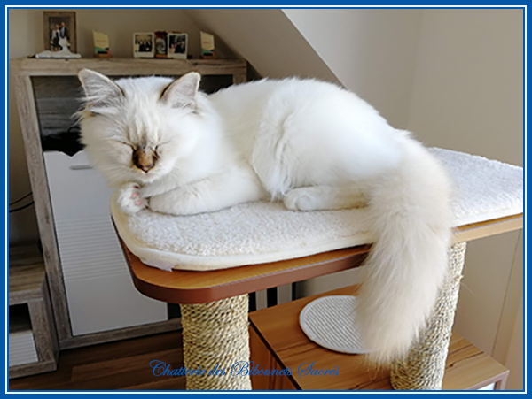 23092018odin