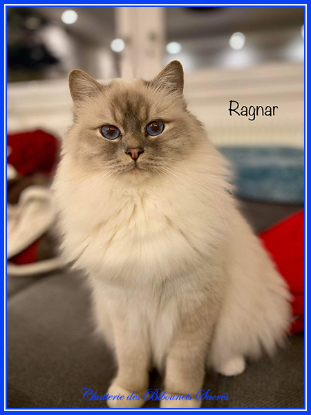 24122021ragnar