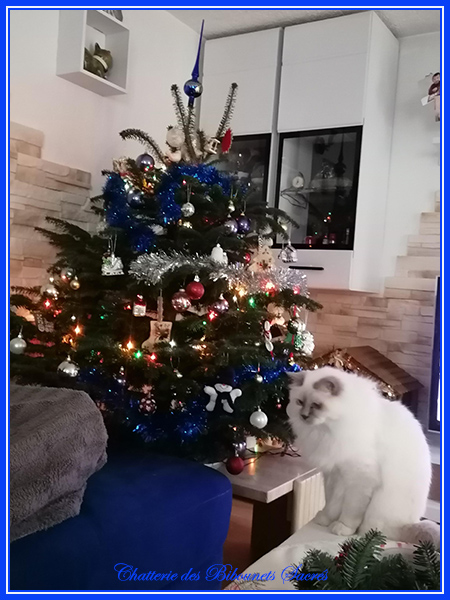 24122021ramses1