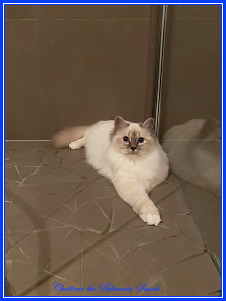 24122021scarlett