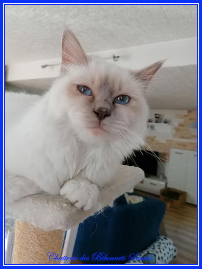 27042021ramses