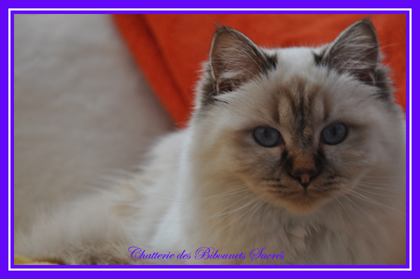 28012024uranie