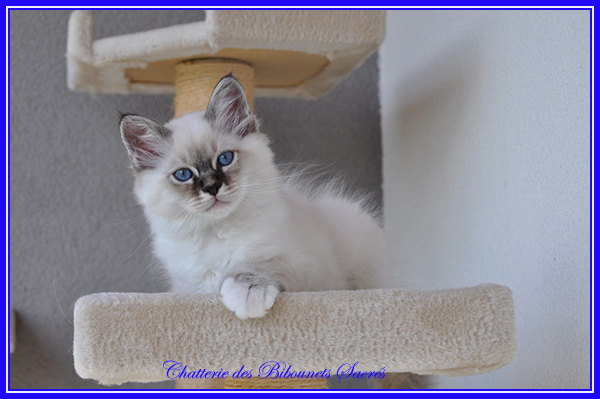 28062020romeo