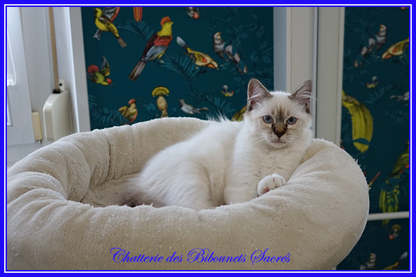 28072019pascha
