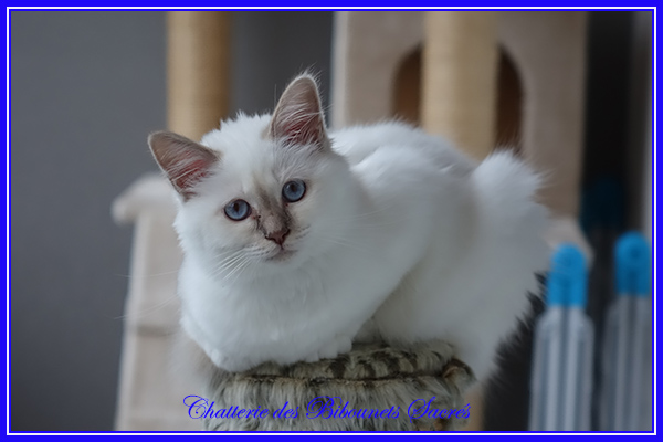 28072019phybie2