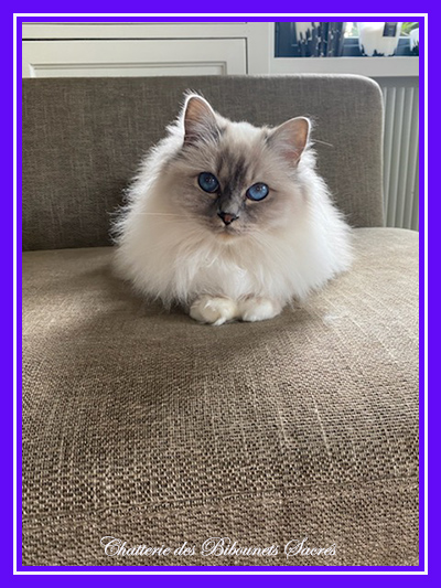 29102022scarlett