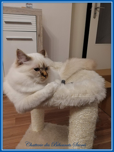 odin20012019b
