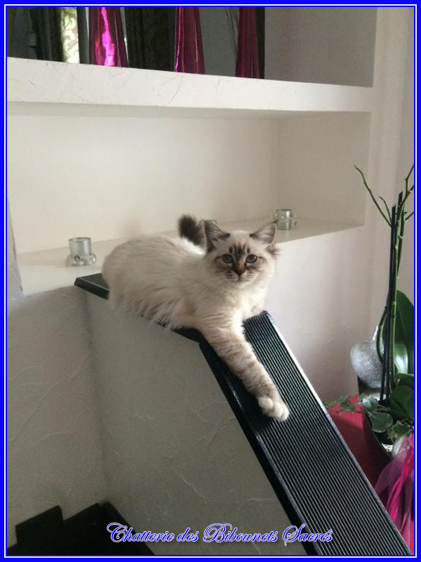 johanna032015