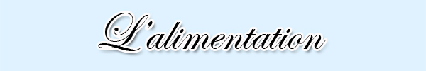 L'alimentation