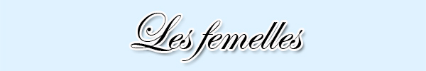 Les femelles